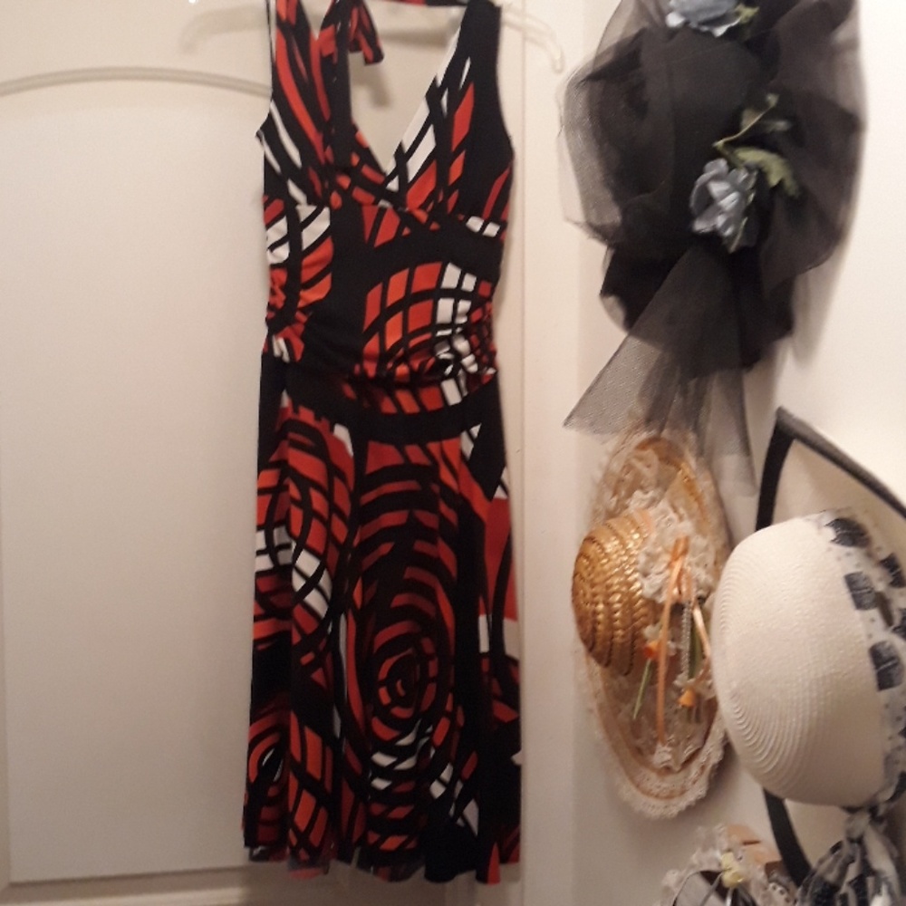 PRETTY TIGER KING DRESS LG